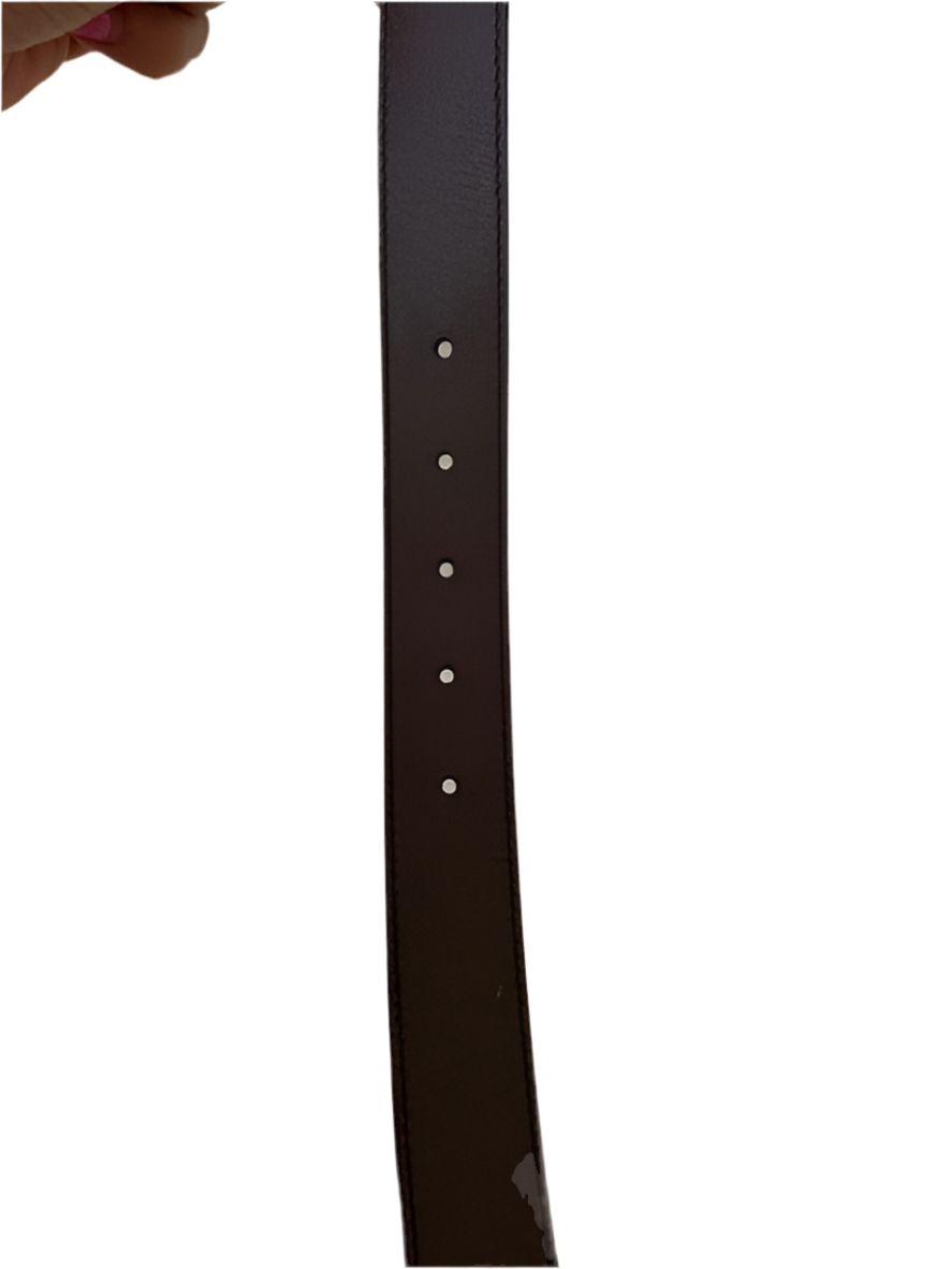 Pre-owned GUCCI Dionysus belt taupe color