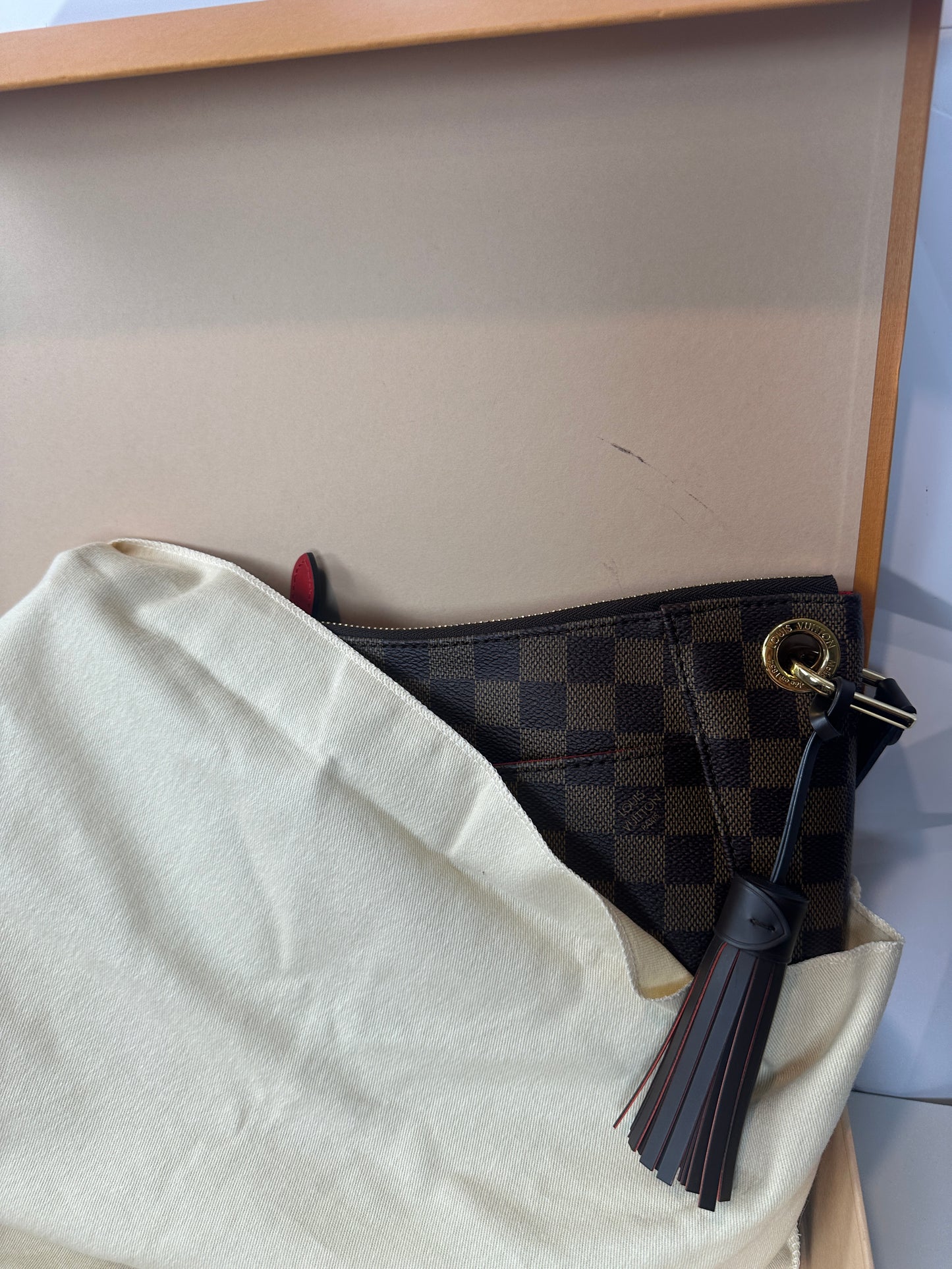 Pre-owned LOUIS VUITTON Damier South Bank Besace Red interior