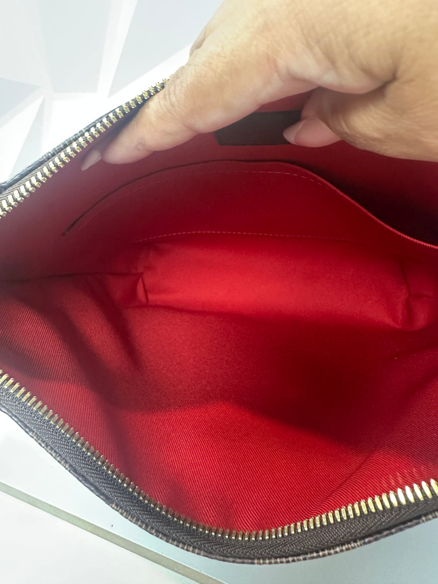 Pre-owned LOUIS VUITTON Damier South Bank Besace Red interior